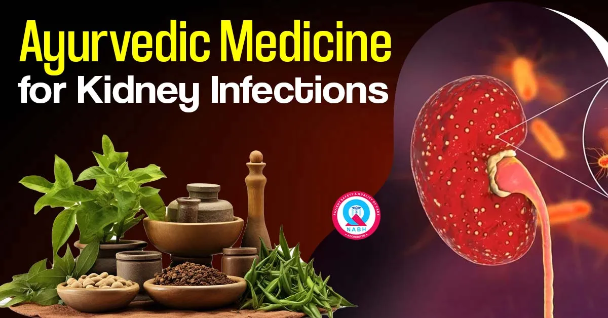 ayurvedic-medicine-for-kidney-infections
